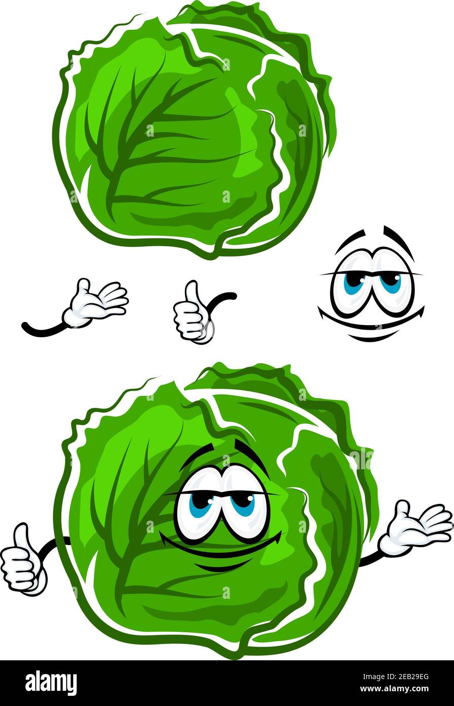 Primavera fresco cavolo verdure cartoon carattere coperto con foglie verdi che mostra il pollice in su gesto, per cibo vegetariano o progettazione agricola Illustrazione Vettoriale