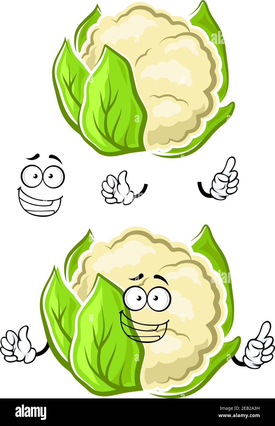 Felice sano cartone animato bianco cavolfiore carattere vegetale con foglie verdi strettamente avvolti e sorrisi toothy, per cibo vegetariano, cucina o agricoltura Illustrazione Vettoriale