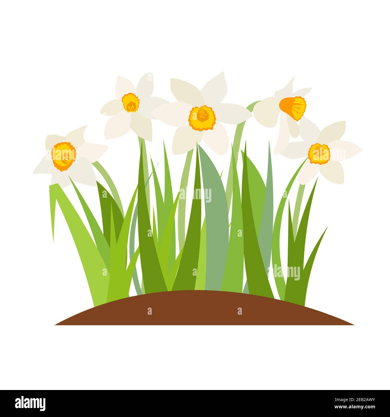 Bouquet di fiori primaverili di narcisi isolati su sfondo bianco Illustrazione vettoriale EPS10 Illustrazione Vettoriale