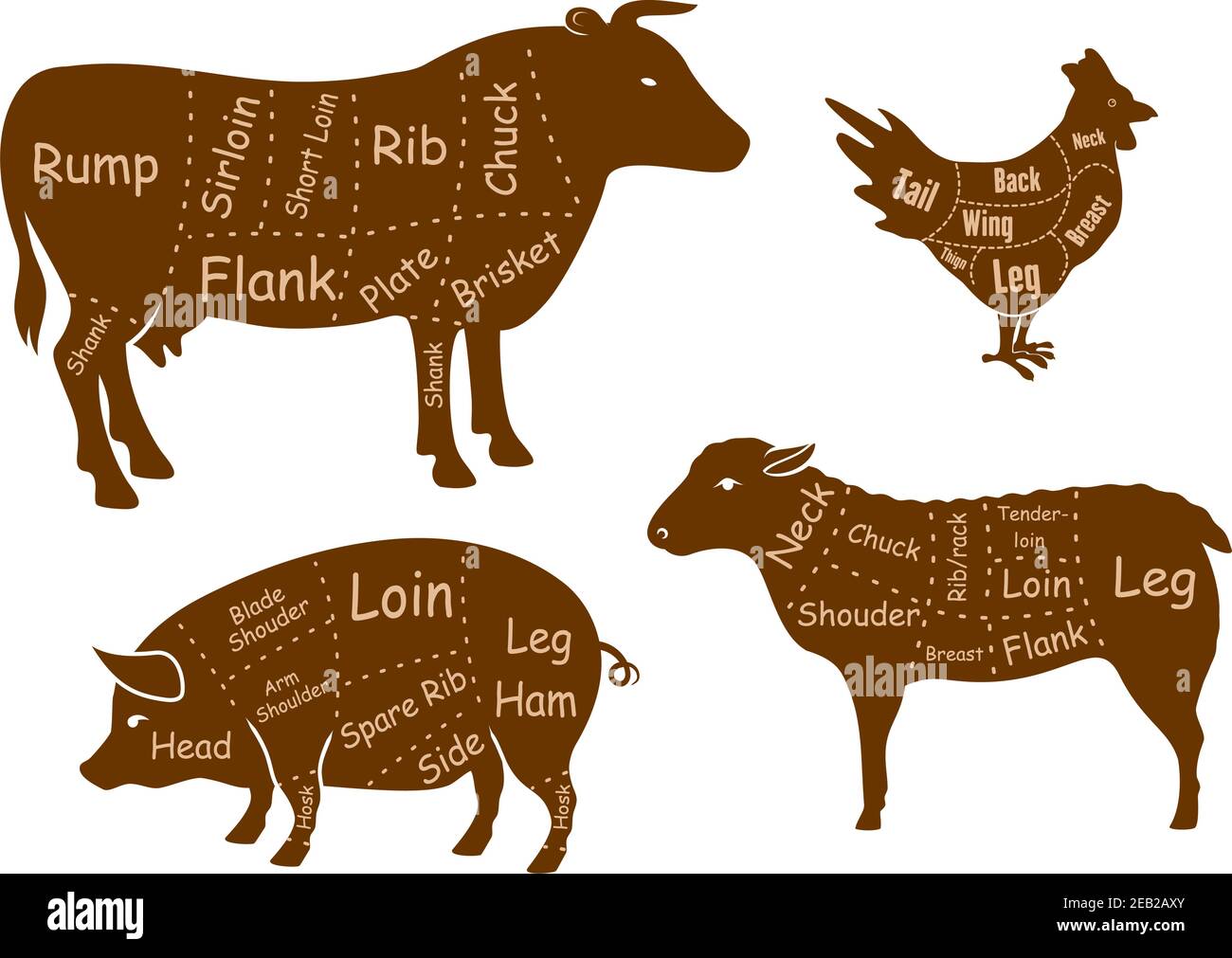 Schema dei tagli di carne di manzo, maiale, pollo e agnello con sagome marroni di animali da fattoria con parti marcate e linee di taglio isolate su sfondo bianco Illustrazione Vettoriale