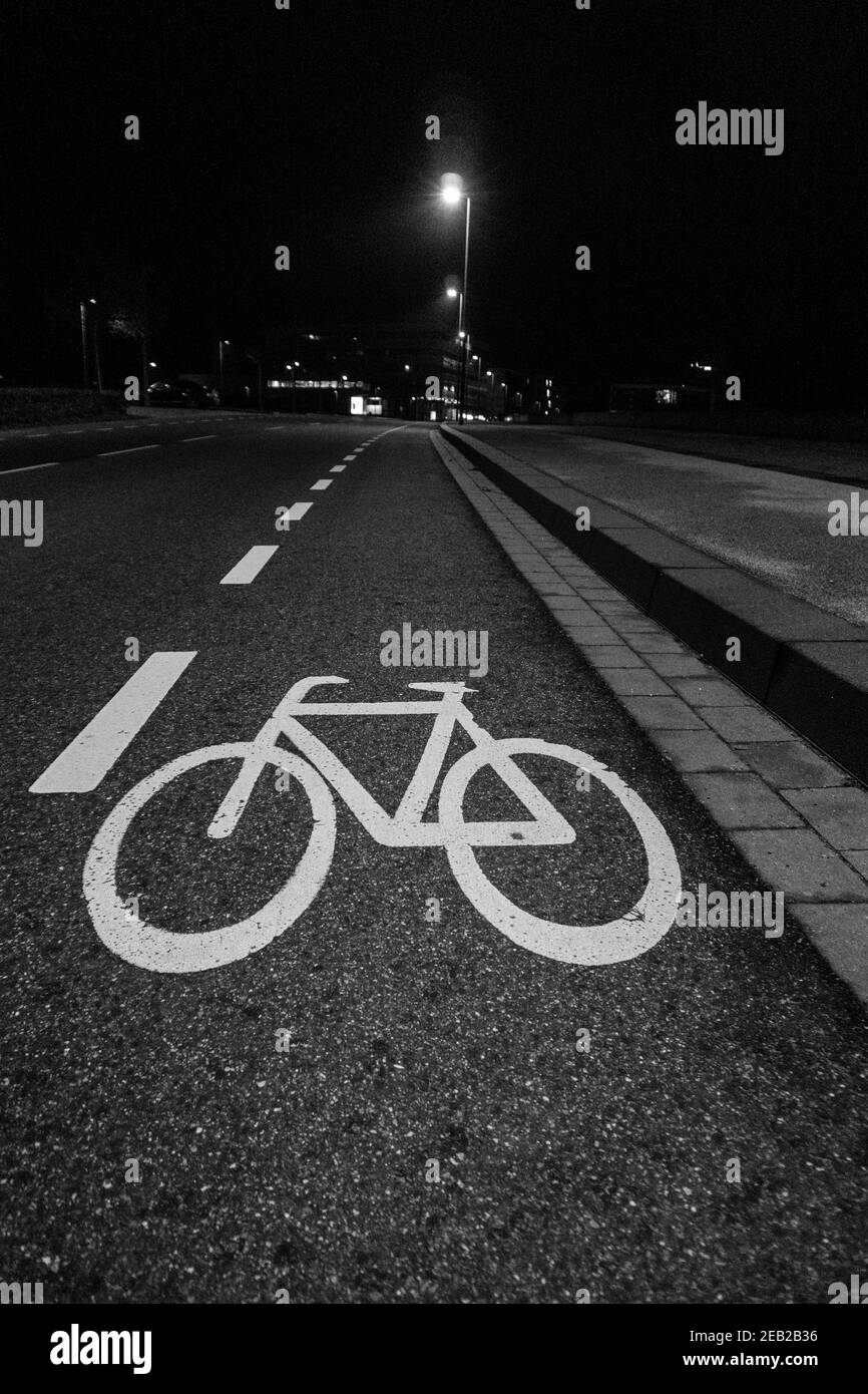 Pista ciclabile di notte con luci di strada. Simbolo di bicicletta dipinto di bianco su asfalto. Trasporto ecologico urbano Foto Stock