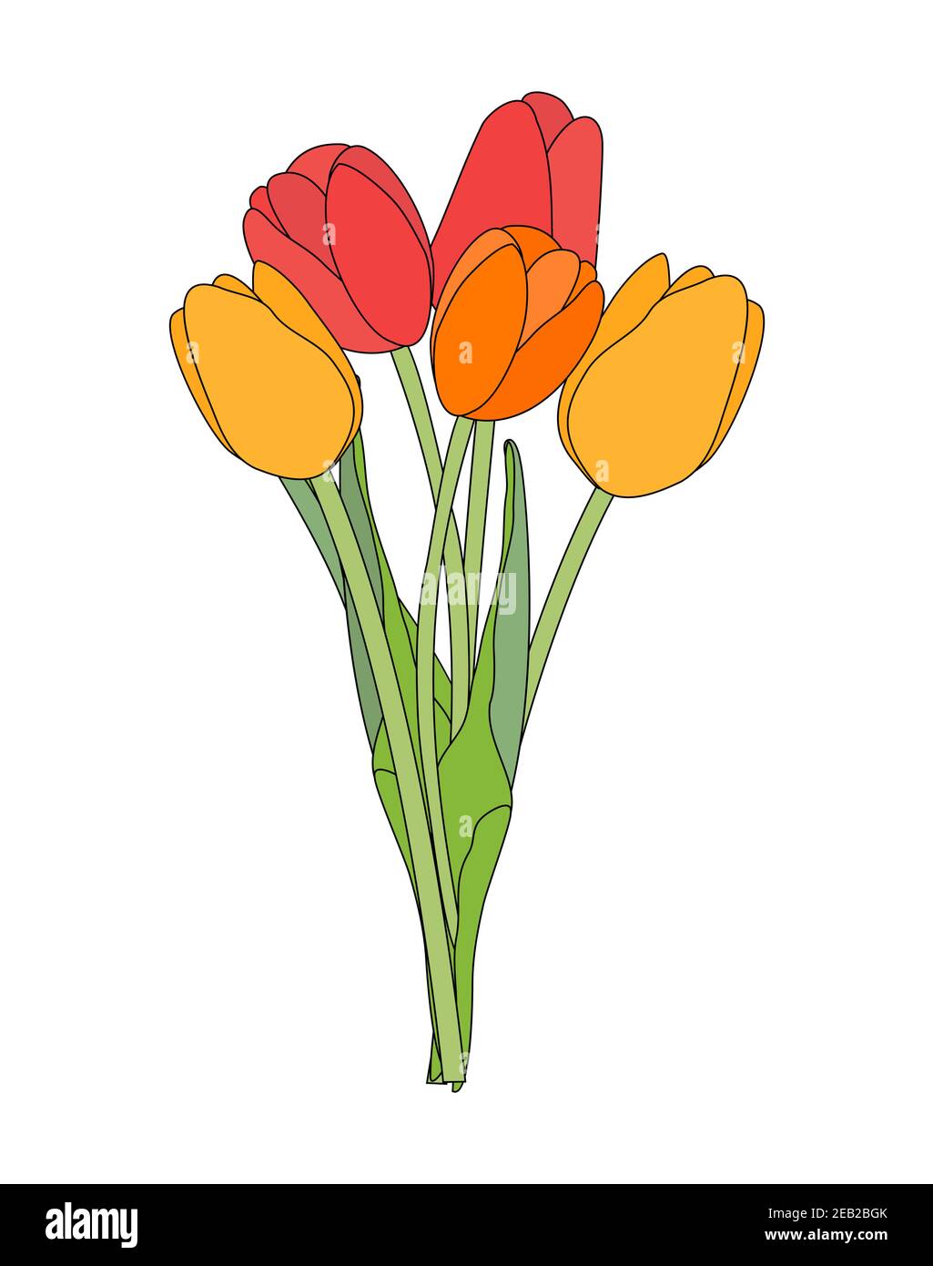 Bouquet di tulipani primavera fiori isolati su sfondo bianco Vector Illustrazione EPS10 Illustrazione Vettoriale