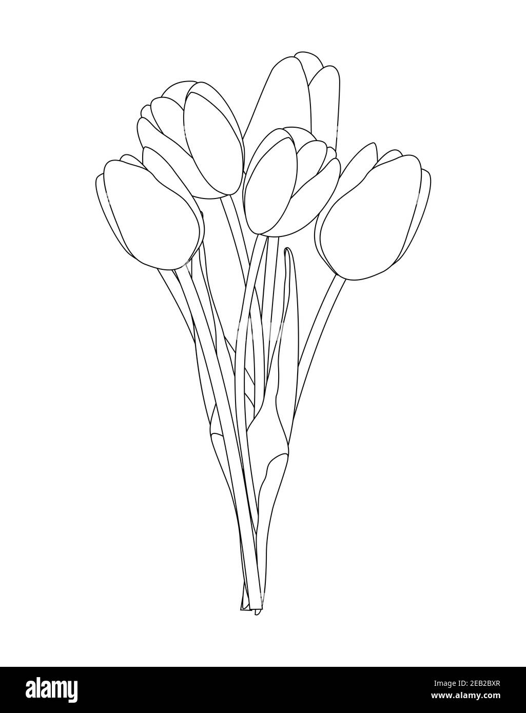 Bouquet di tulipani primavera fiori isolati su sfondo bianco Vector Illustrazione EPS10 Illustrazione Vettoriale
