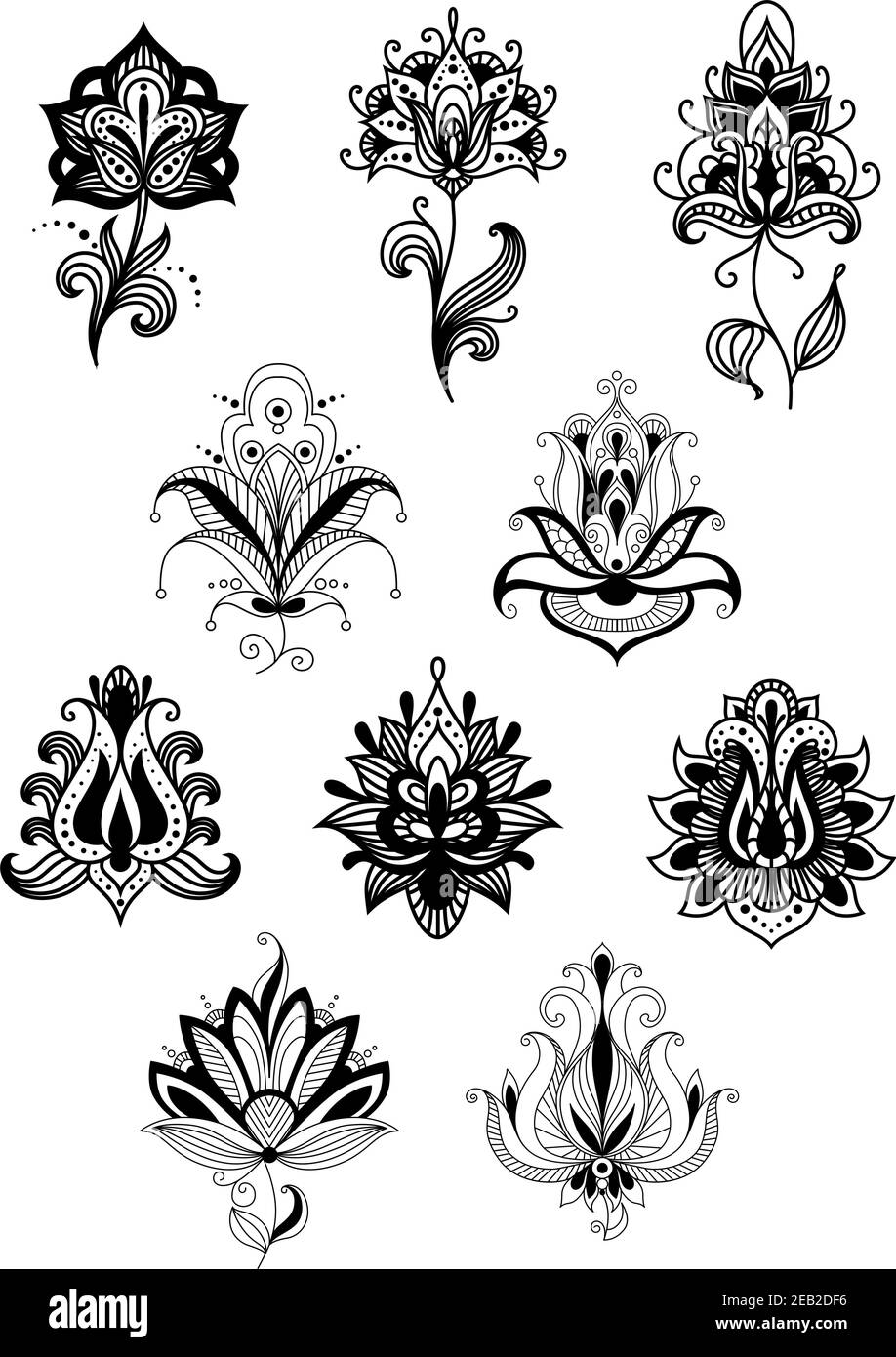 Elementi decorativi floreali neri indiani con fiori di lacy con petali a forma di goccia e foglie appuntite, ornati da ornamento paisley su sfondo bianco Illustrazione Vettoriale