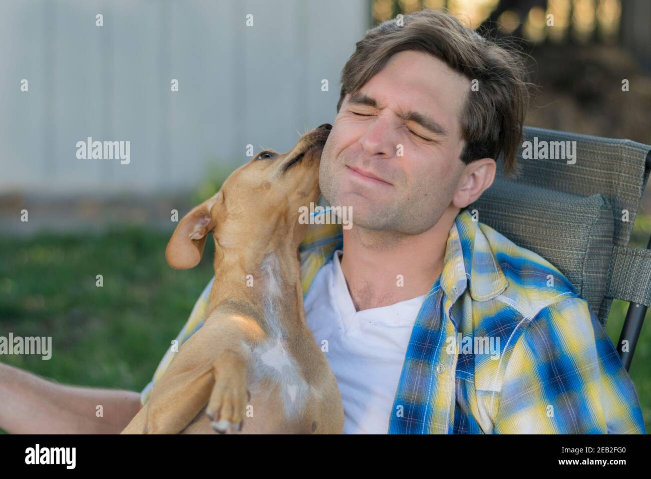 Cane baciare giovane uomo che indossa una camicia plaid di giallo e blu in un cortile. Foto Stock