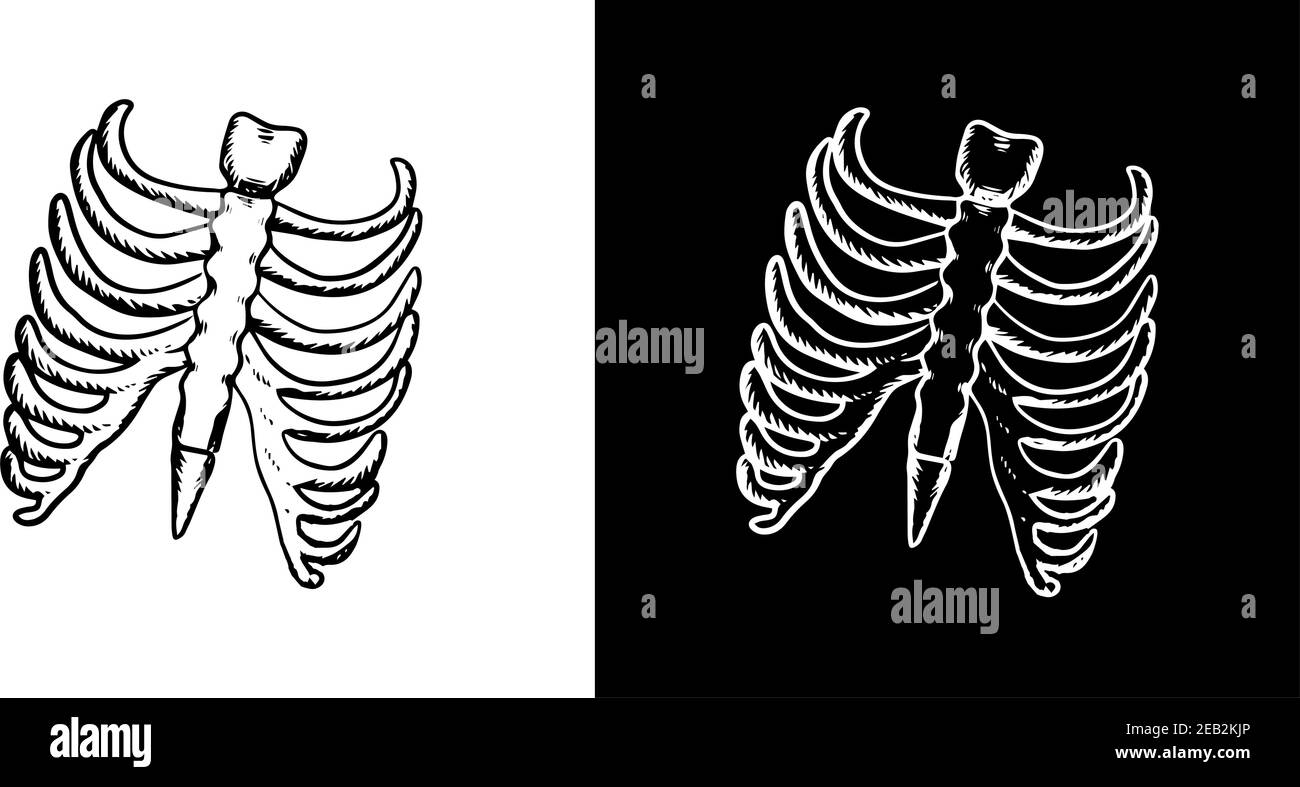 Radiografia e scheletro di gabbia delle costole umane con nervature e parte della colonna vertebrale in stile schizzo, per la progettazione di concept per il settore sanitario Illustrazione Vettoriale