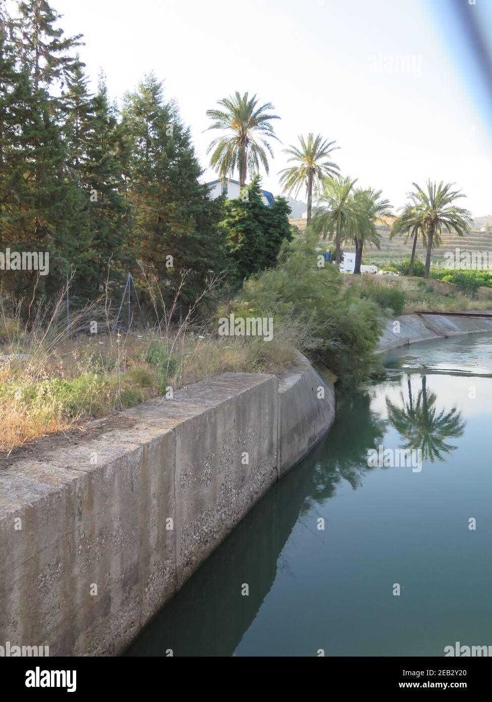 Palme che si riflettono nel canale di irrigazione nella campagna rurale dell'Alora, Andalusia Foto Stock