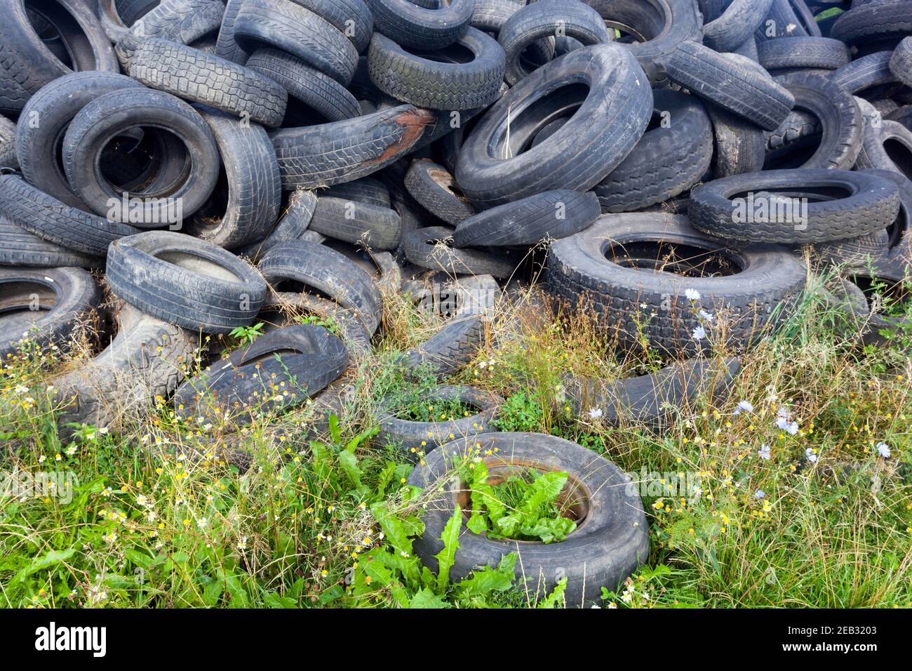 Vecchi pneumatici spazzatura deposito rifiuti auto pneumatici scaricati usato rifiuti Foto Stock