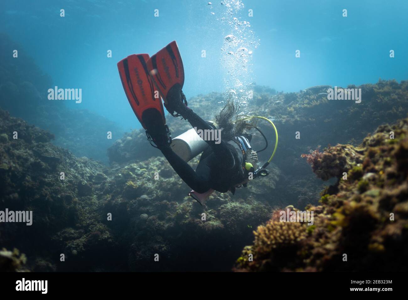 Scuba diving ragazza in mare blu aperto e blu cielo Foto Stock