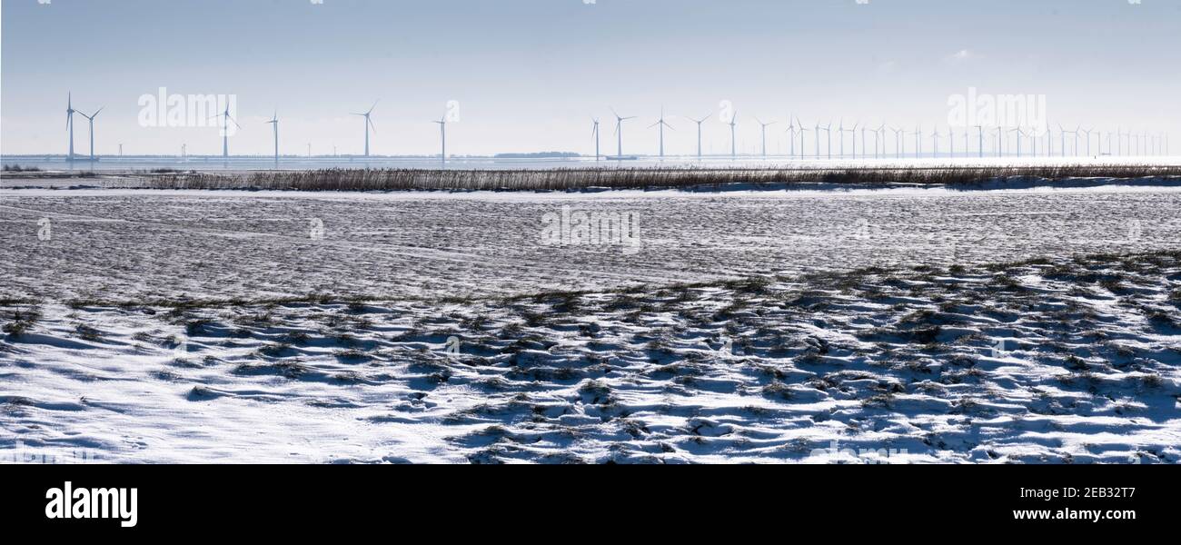 Windmill Park Westermeerwind nel Ijsselmeer, il più grande parco eolico offshore dei Paesi Bassi. Scena invernale con neve, sole e cielo blu. Widescree Foto Stock