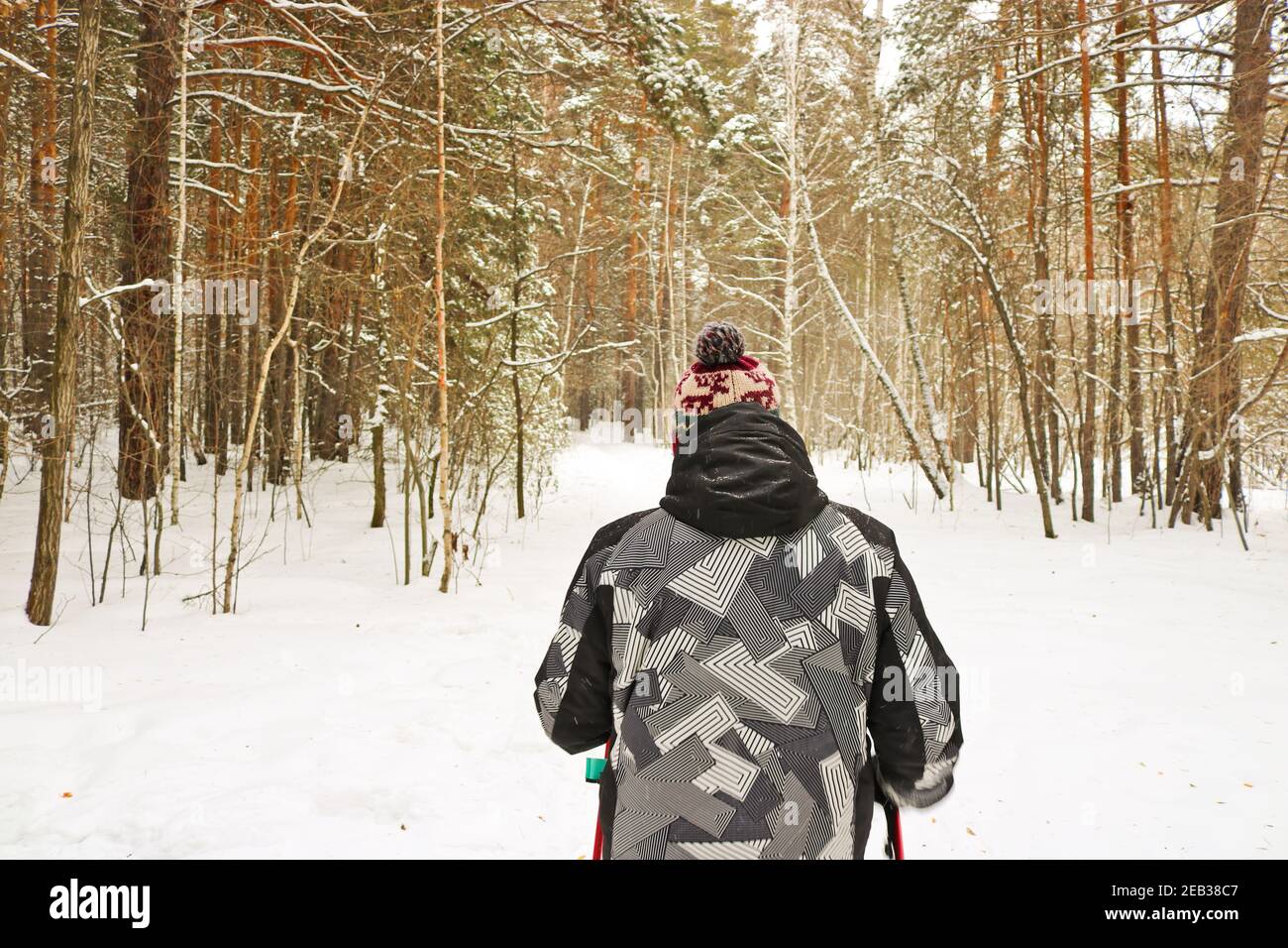 L'uomo entra per gli sport invernali - nordic walking, passeggiate con bastoni attraverso una foresta innevata. Persone attive in natura. Foto Stock