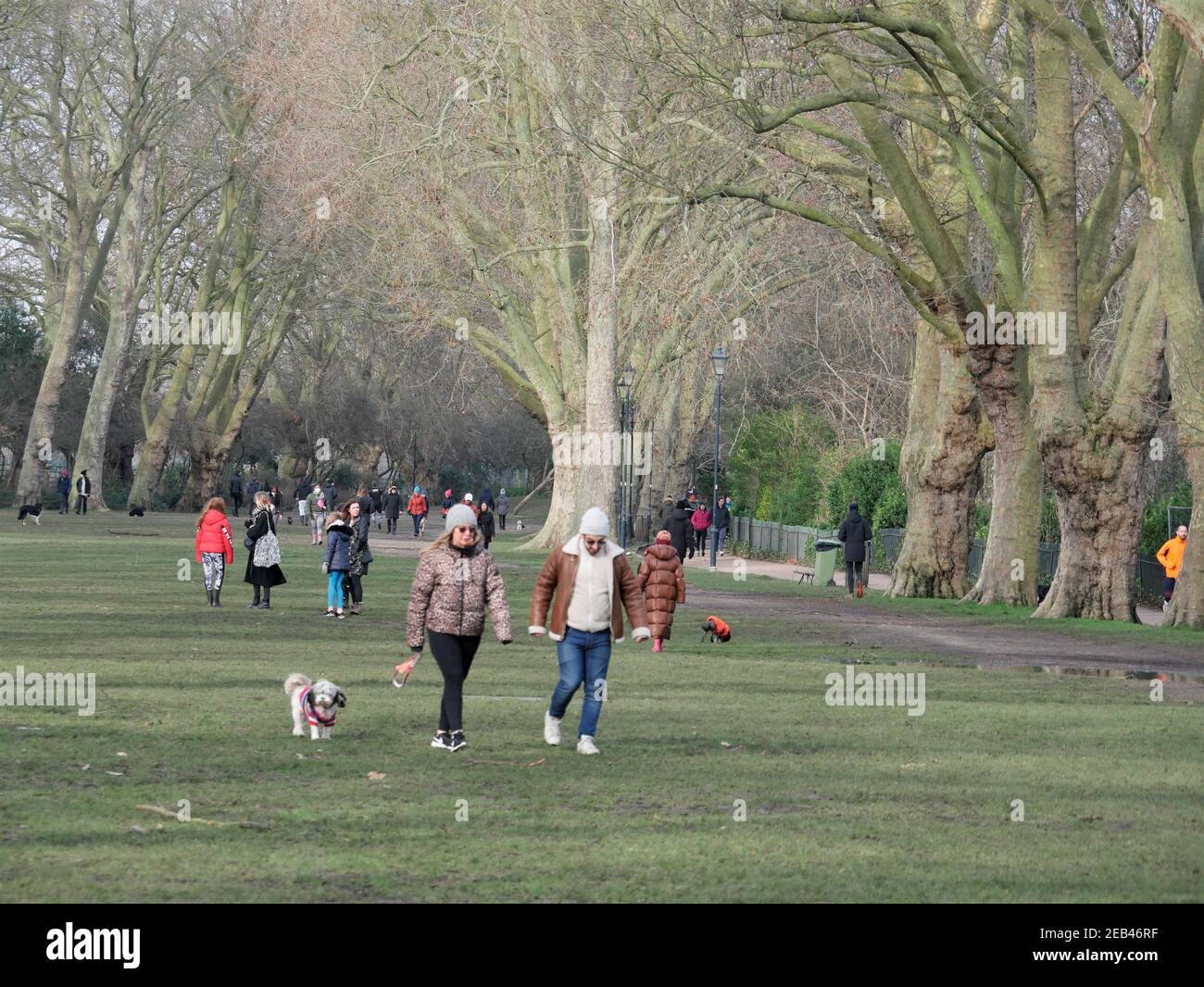 Persone che si allenano e che camminano con il cane durante il blocco in Bishops Park, Fulham, Londra Foto Stock