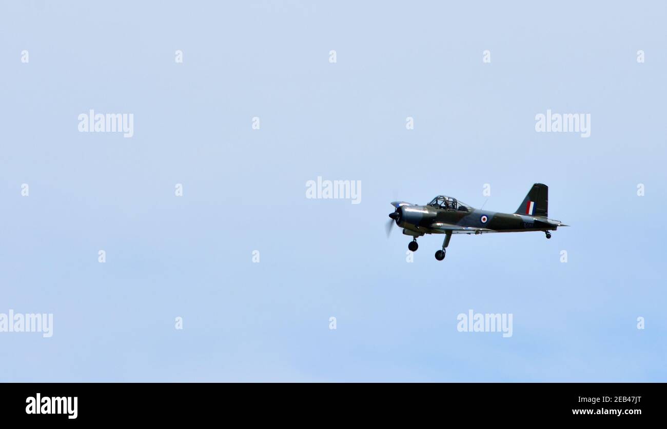 1950 Caccia (Percival) Provost a pistone T.1 in volo. Foto Stock