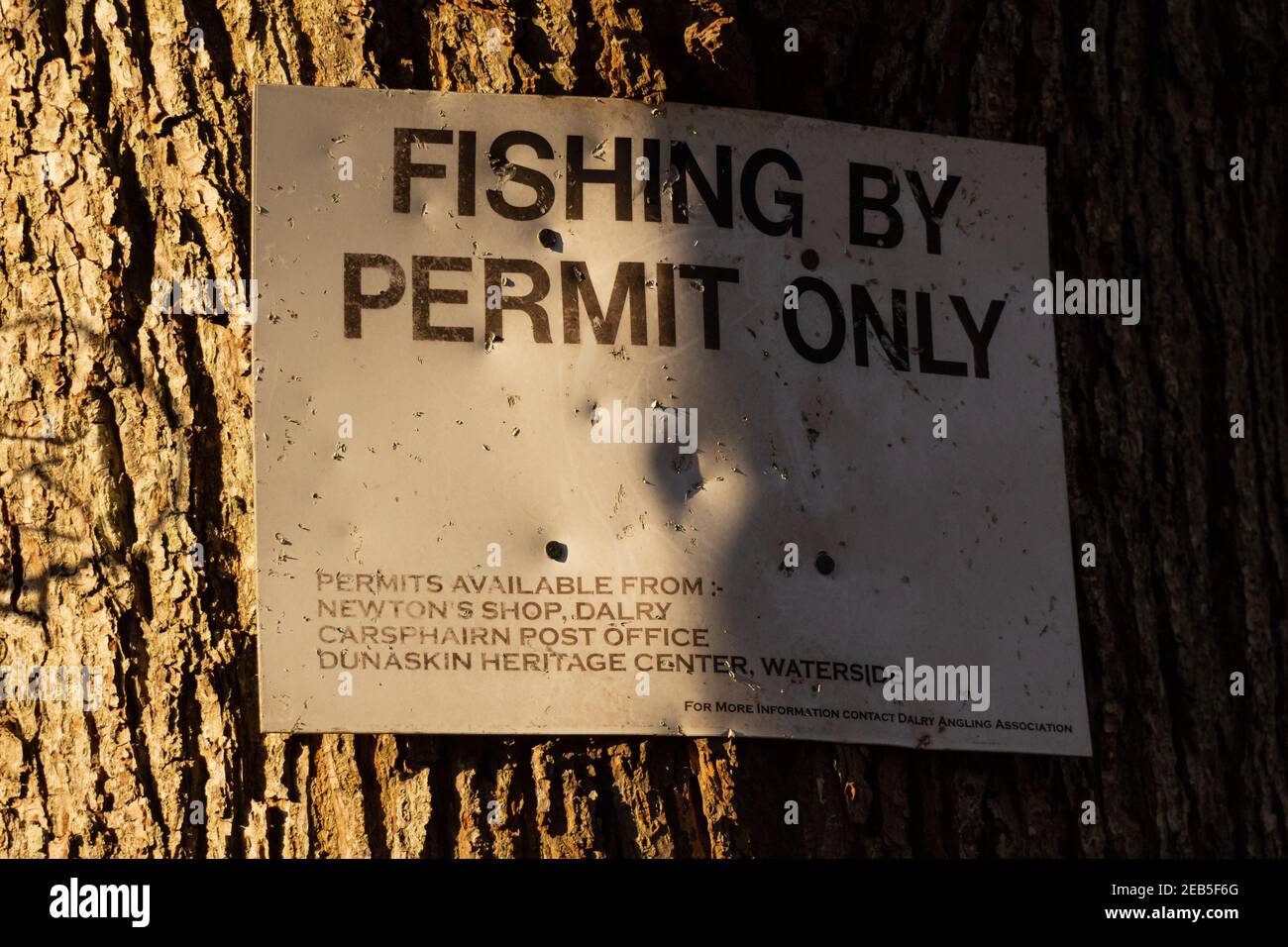 Dalry, Scozia - 21 dicembre 2020: Primo piano di un cartello bianco della Darry Angling Association che segnala la pesca solo con permesso, Scozia Foto Stock