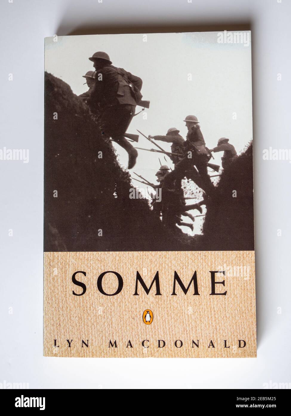Foto d'inventario del libro Somme, dell'autore e storico Lyn Macdonald; Penguin Books, 1983 Foto Stock