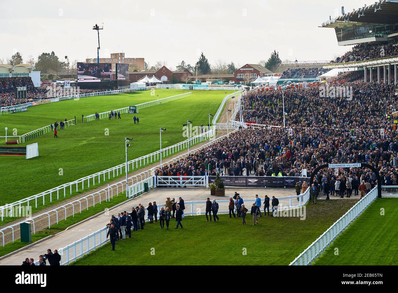 Corse di cavalli all'ippodromo di Cheltenham, Inghilterra Foto Stock