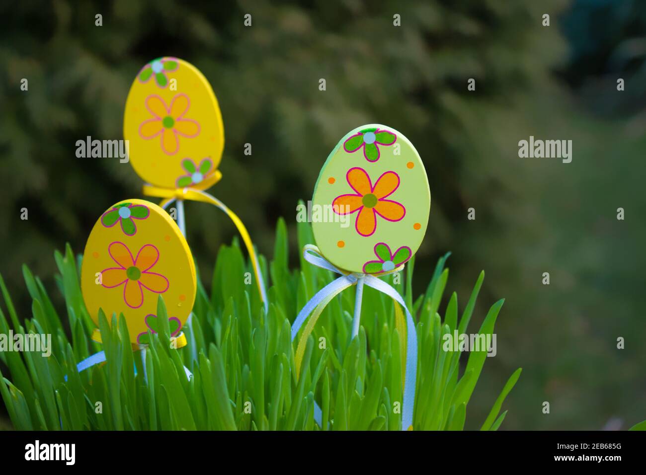 C'è una decorazione di Pasqua uova in erba. Sullo sfondo sono le conifere. Foto Stock