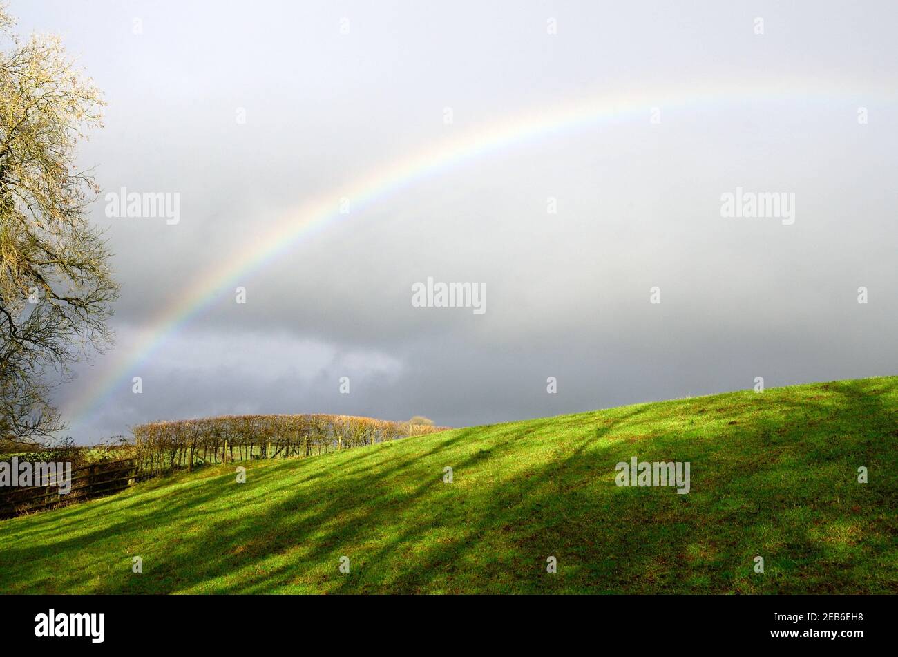 Arcobaleno sulla campagna aperta dopo la tempesta Foto Stock