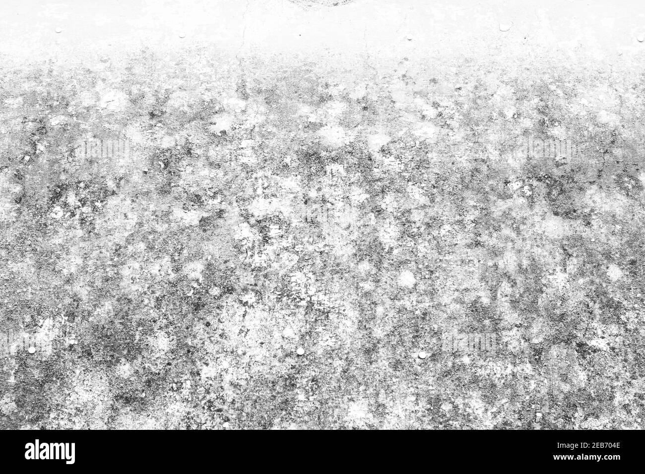 Bianco sfondo grunge. Parete ruvida consistenza. Grunge sfondo. Foto Stock