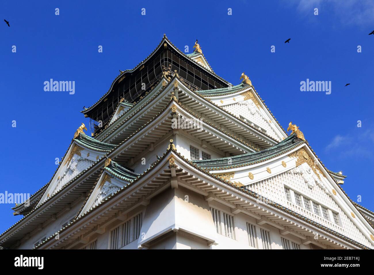 Simbolo di architettura giapponese. Castello di Osaka, Giappone. Castello Giapponese. Foto Stock