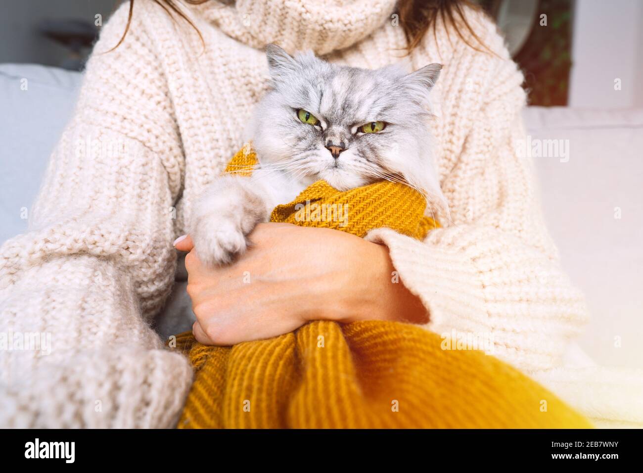 Donna in felpa accogliente che tiene in braccia gatto grumpy in plaid. Il gatto riposa e si riscalda sotto una morbida coperta in inverno o in autunno freddo Foto Stock