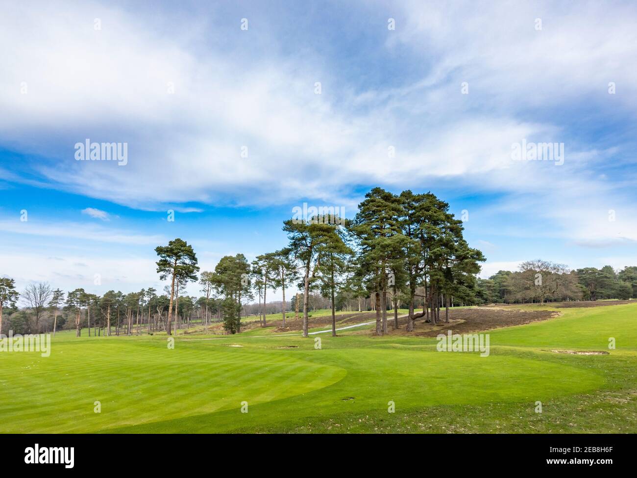 Vista sul fairway del campo da golf e gli alberi nel Woking Golf Club, Hook Heath, Woking, Surrey, Inghilterra sud-orientale e pini in una giornata invernale Foto Stock