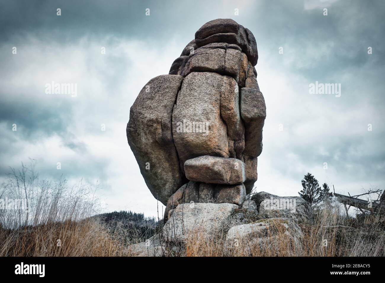 Masso solitario nel selvaggio. Incontaminato paesaggio forestale delle montagne Harz in bassa Sassonia, Germania. Foto Stock