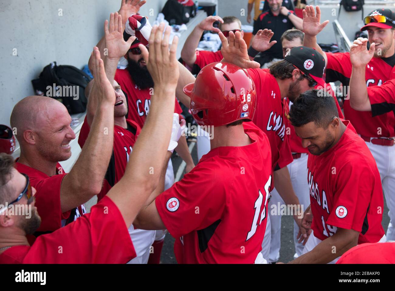 Toronto PanAm Games 2015: Festa nella panchina della squadra di baseball dopo che Sean Jamieson ha segnato una corsa contro la squadra della Colombia Foto Stock