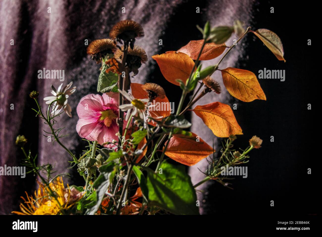 Bel bouquet autunnale con fiori di mallow rosa, camomilla e foglie gialle su sfondo scuro Foto Stock