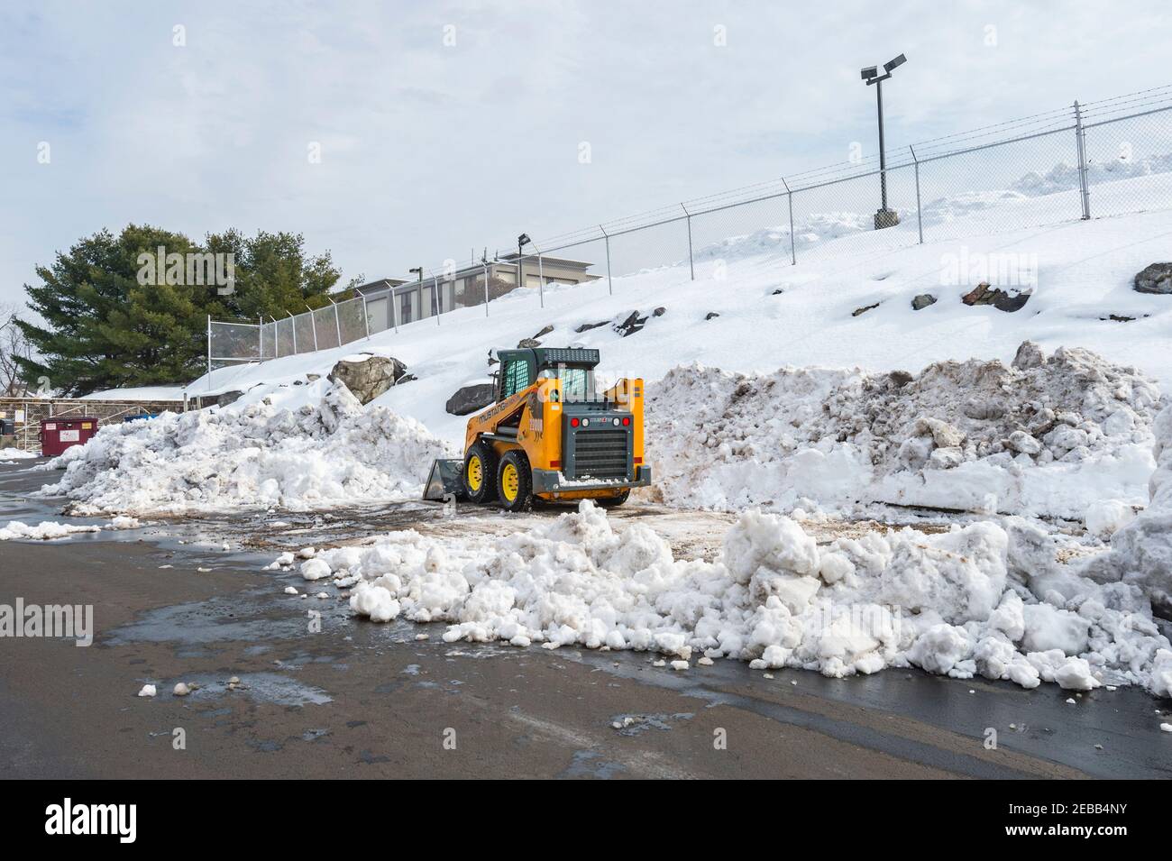 Caricatore frontale di piccole dimensioni che libera la neve dopo una grande tempesta di neve, Philadelphia USA Foto Stock