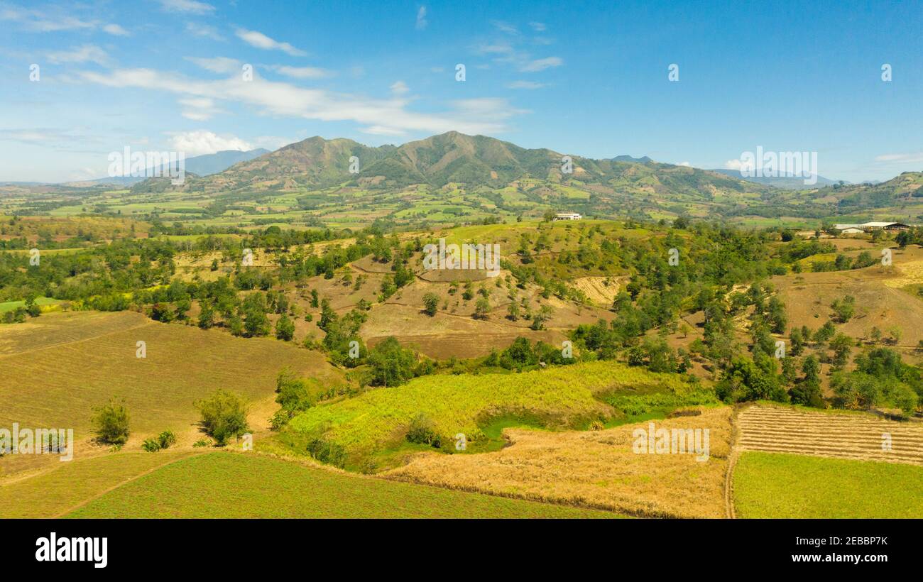 Veduta aerea del paesaggio agricolo con terreno agricolo. Paesaggio montano con verdi colline e terreni agricoli. Mindanao, Filippine. Foto Stock