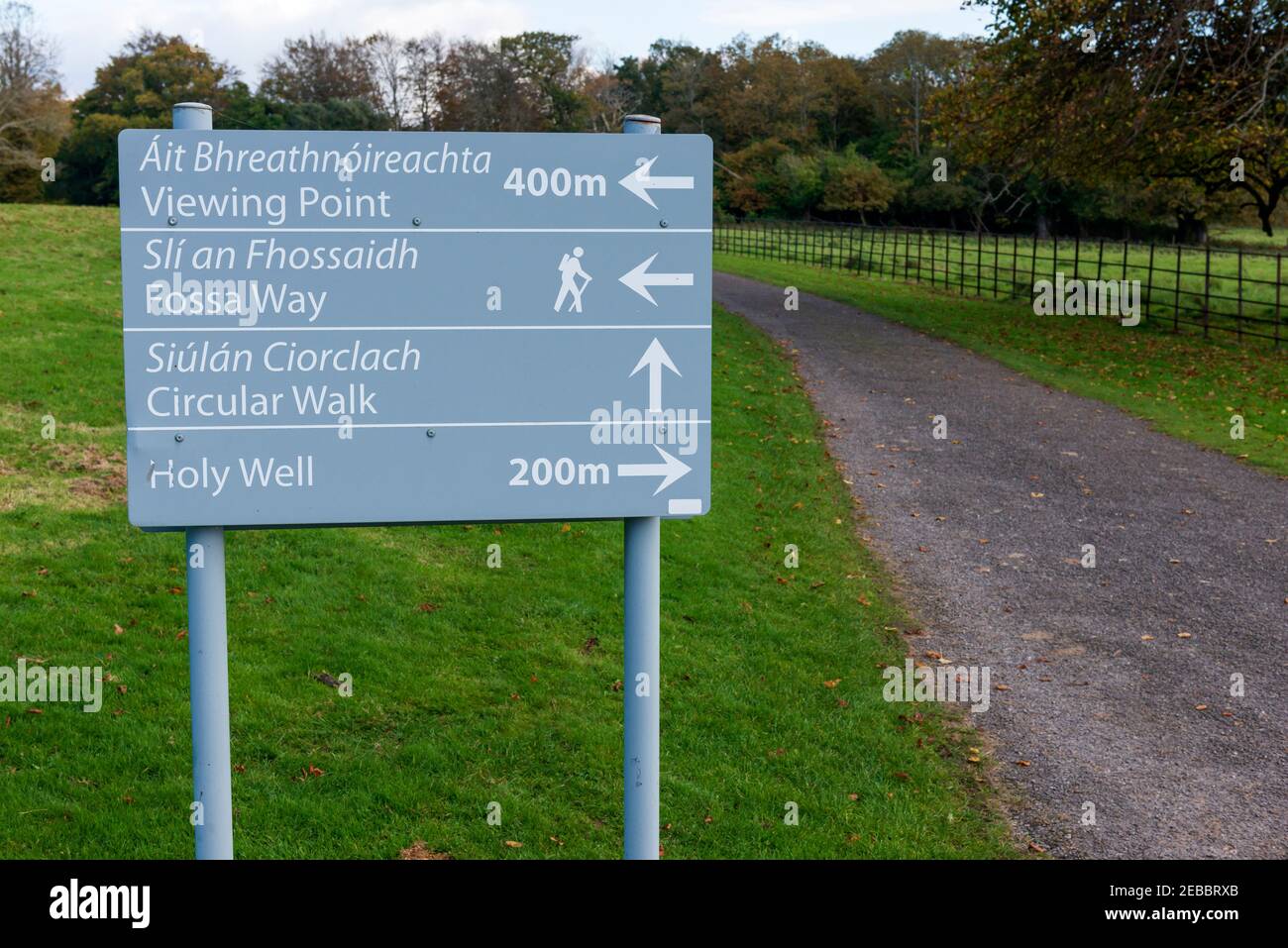 Informazioni sul Parco Nazionale di Killarney indicazioni per Fossa Way Circular Walk, altre attività turistiche e percorsi escursionistici, County Kerry, Irlanda Foto Stock