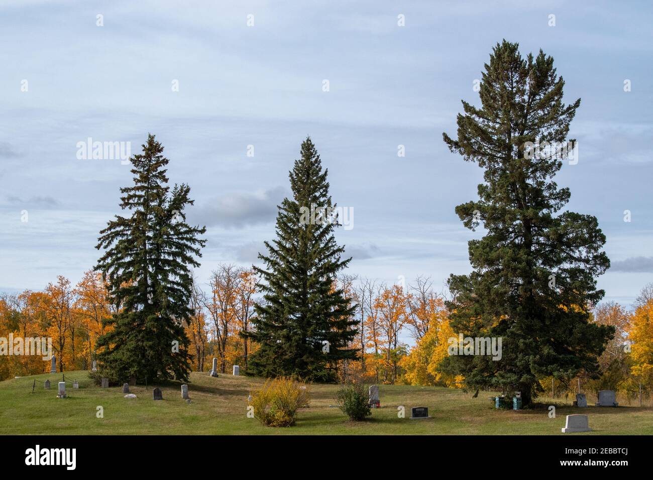 Il vecchio cimitero della Nuova Finlandia fondato nel 1896, insediamento della Nuova Finlandia, a nord di Bianchi, Saskatchewan, Canada. Foto Stock