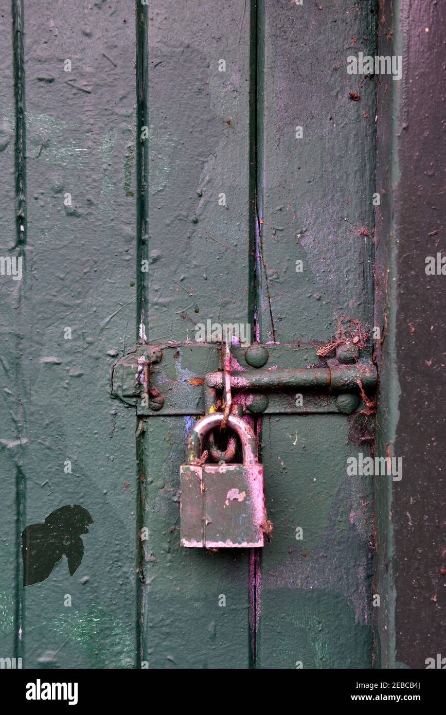 Bullone con lucchetto su porta in legno verniciato Foto Stock
