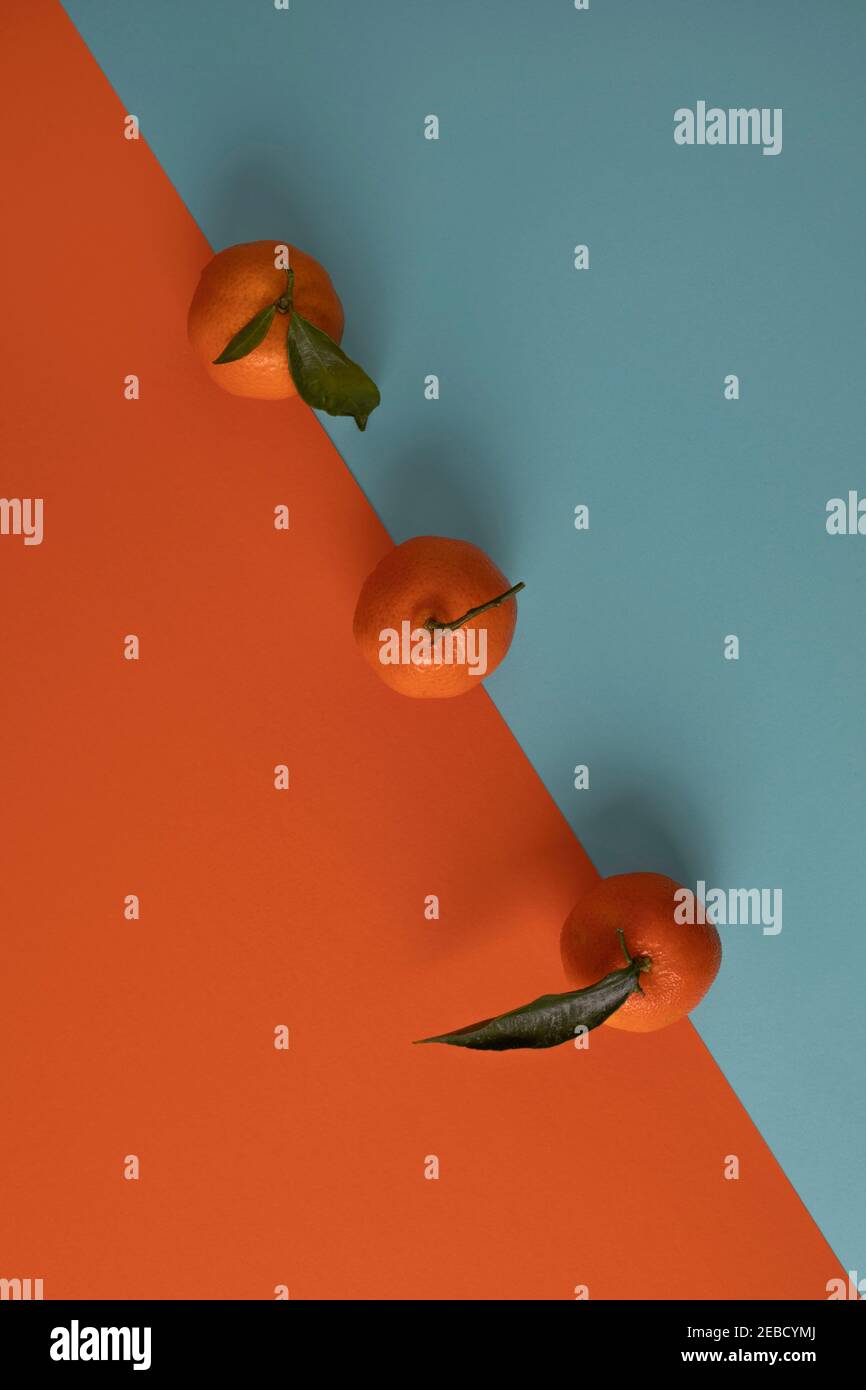 Tangerini su sfondo. Concetto di frutta blu e arancio Foto Stock