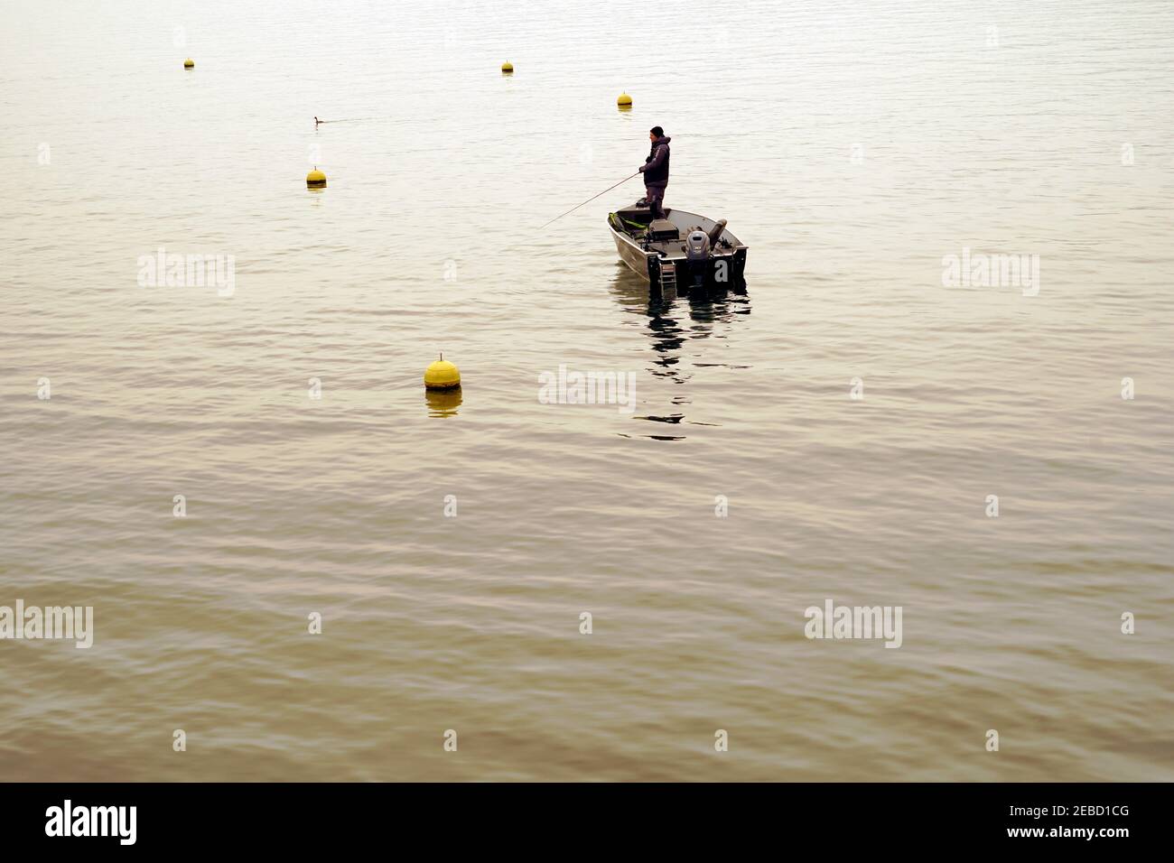 Un uomo che pesca sul lago di Zurigo in inverno. Il pescatore è in piedi in una barca e ci sono boe gialle sulla superficie dell'acqua intorno a lui. Foto Stock