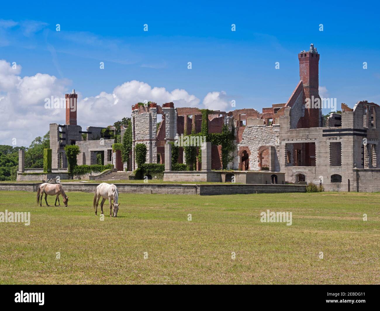 I cavalli selvatici pascolano vicino alle rovine di Dungeness Mansion, Cumberland Island, Georgia. Il palazzo fu costruito nel 1880 dalla famiglia Carnegie. Foto Stock