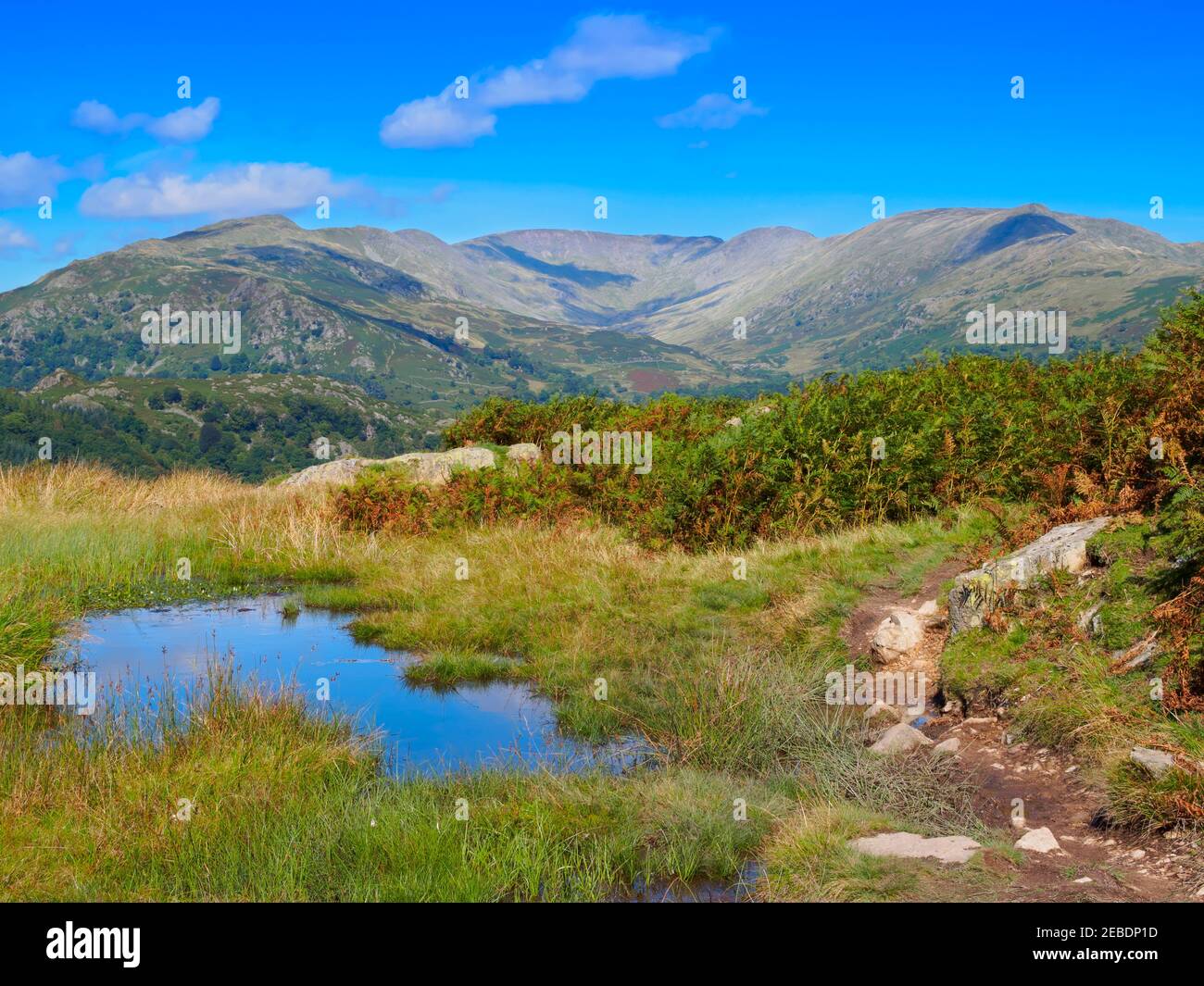 Fairfield Horseshoe da Loughrigg Fell, Lake District, Cumbria. Conosciuto anche come Fairfield Round, un famoso circuito escursionistico. Foto Stock