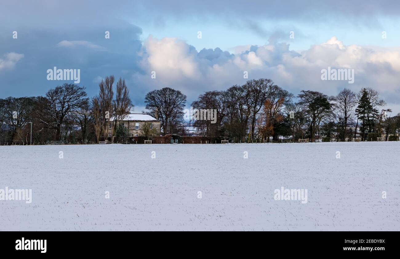 Una casa di campagna circondata da alberi maturi nella neve d'inverno, East Lothian, Scozia, Regno Unito Foto Stock