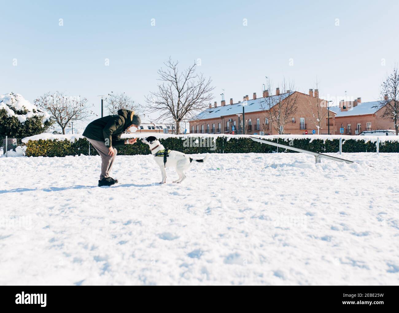 Uomo che addestra il suo cane nella neve Foto Stock