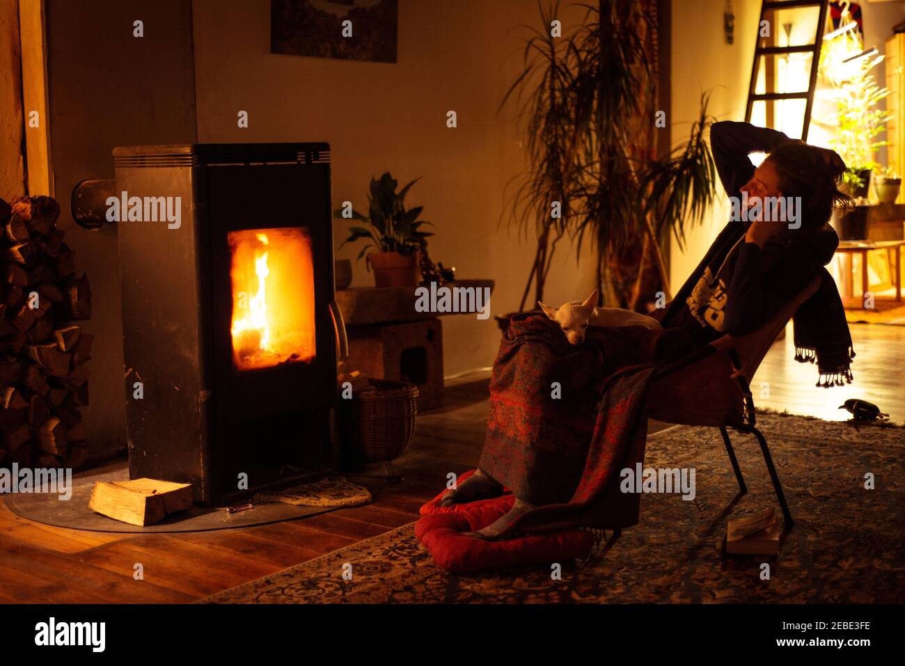Donna ride al telefono a casa dal fuoco di notte con cane sul giro Foto Stock