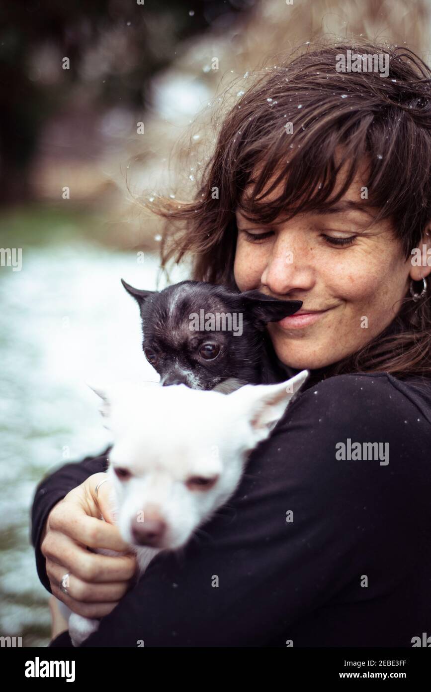 donna con coccole e neve in capelli sorrisi e coccole due chihuahua Foto Stock