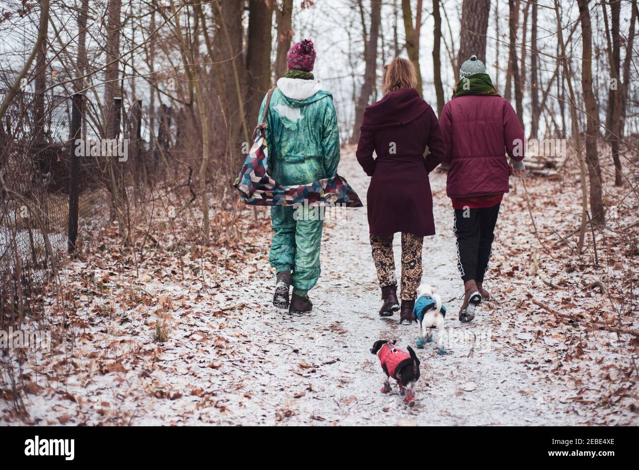 Tre amici e due piccoli cani in Germania entrano boschi in inverno Foto Stock
