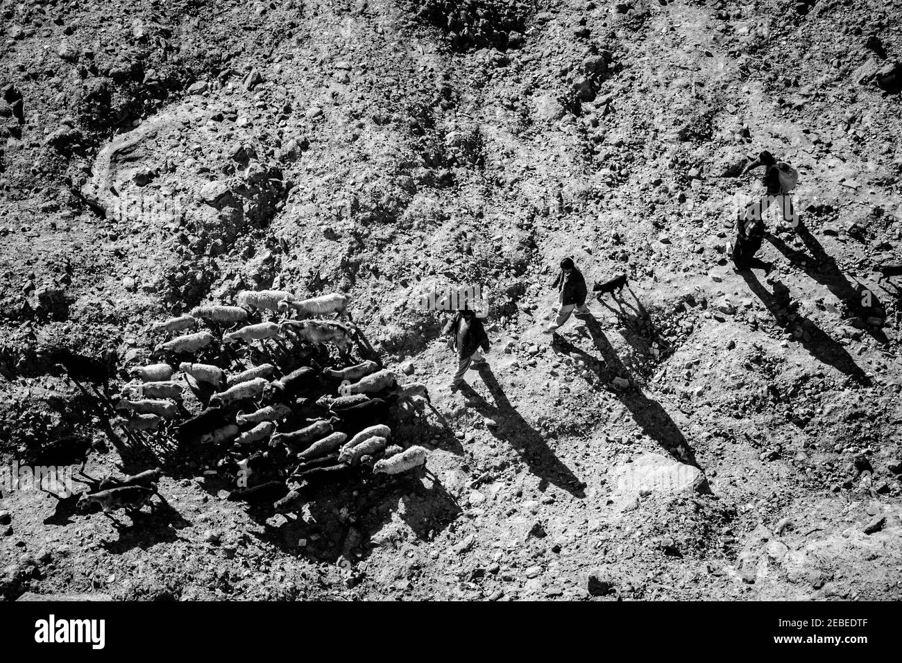 Trekking di mattina presto ai campi di pascolo. Foto Stock