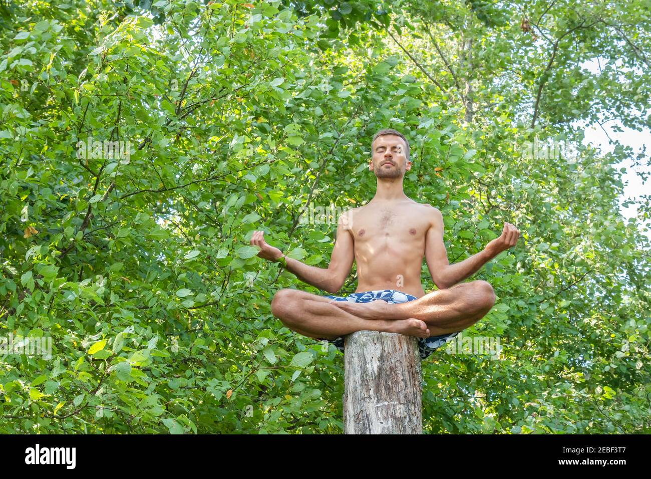 Giovane uomo seduto sul tronco dell'albero e meditando con gli occhi di chiusura e le mani che si voltano verso il cielo su sfondo fogliame. Ragazzo seduto in posa lotus su t Foto Stock
