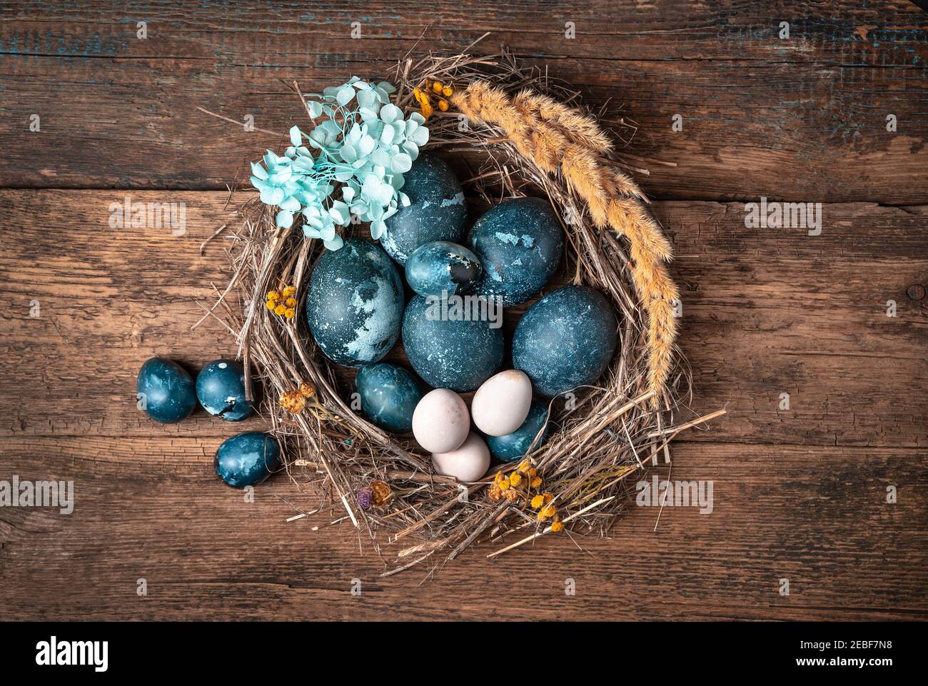 Il nido è decorato con fiori blu con uova blu di marmo pasquale su sfondo di legno. Foto Stock