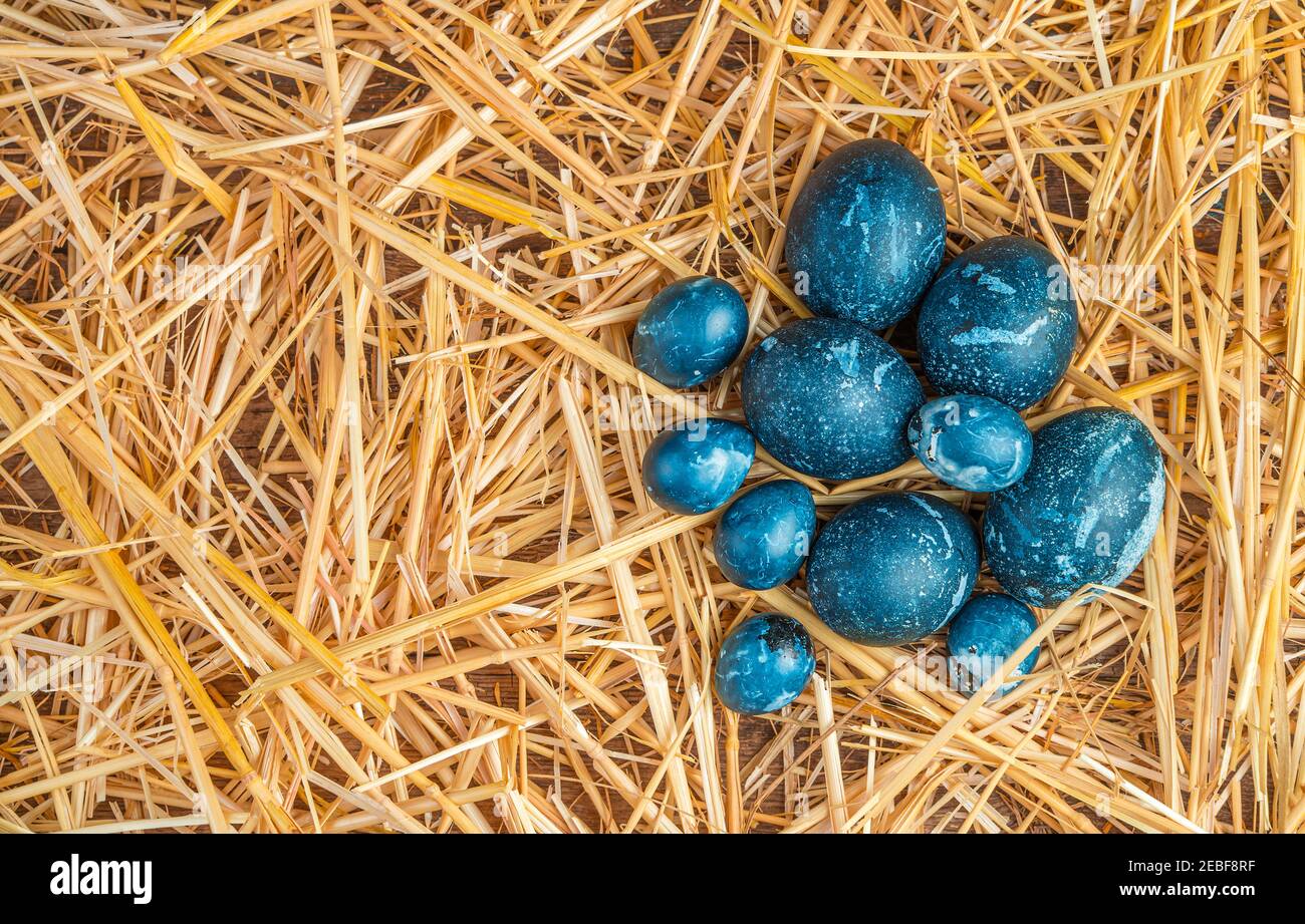 Uova di Pasqua blu in paglia gialla. Vista dall'alto, orizzontale. Foto Stock