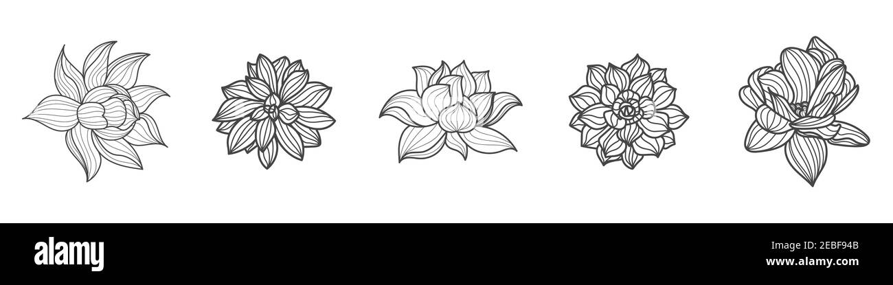 Set di fiori di loto in diverse viste. Raccolta di illustrazioni del contorno disegnate a mano. Linea nera. Illustrazione vettoriale isolata su sfondo bianco. Illustrazione Vettoriale