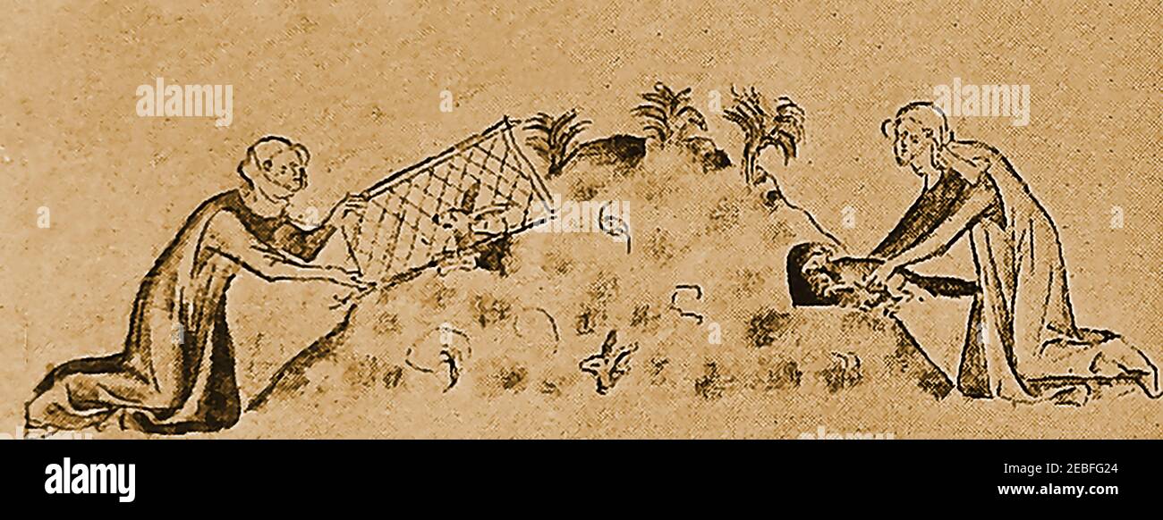 Vecchia illustrazione originale che mostra i lavoratori di proprietà di maniero medievale conosciuti come guerrieri che usano i furetti e una rete per catturare i conigli da un 'tumulo di cuscino' su una Warren. La conservazione dei conigli in recinti speciali è stata praticata fin dai primi tempi. I warrens domestici erano un ramo di allevamento di animali conosciuto come cunicularia, dedicato all'allevamento di conigli per carne e pelliccia. Le Warrens erano generalmente circondate da un fossato grande, o fosso riempito di acqua perché i conigli solitamente evitano l'acqua. Un 'pallido', o recinto anche circondato la Warren per tenere fuori predatori naturali. Foto Stock