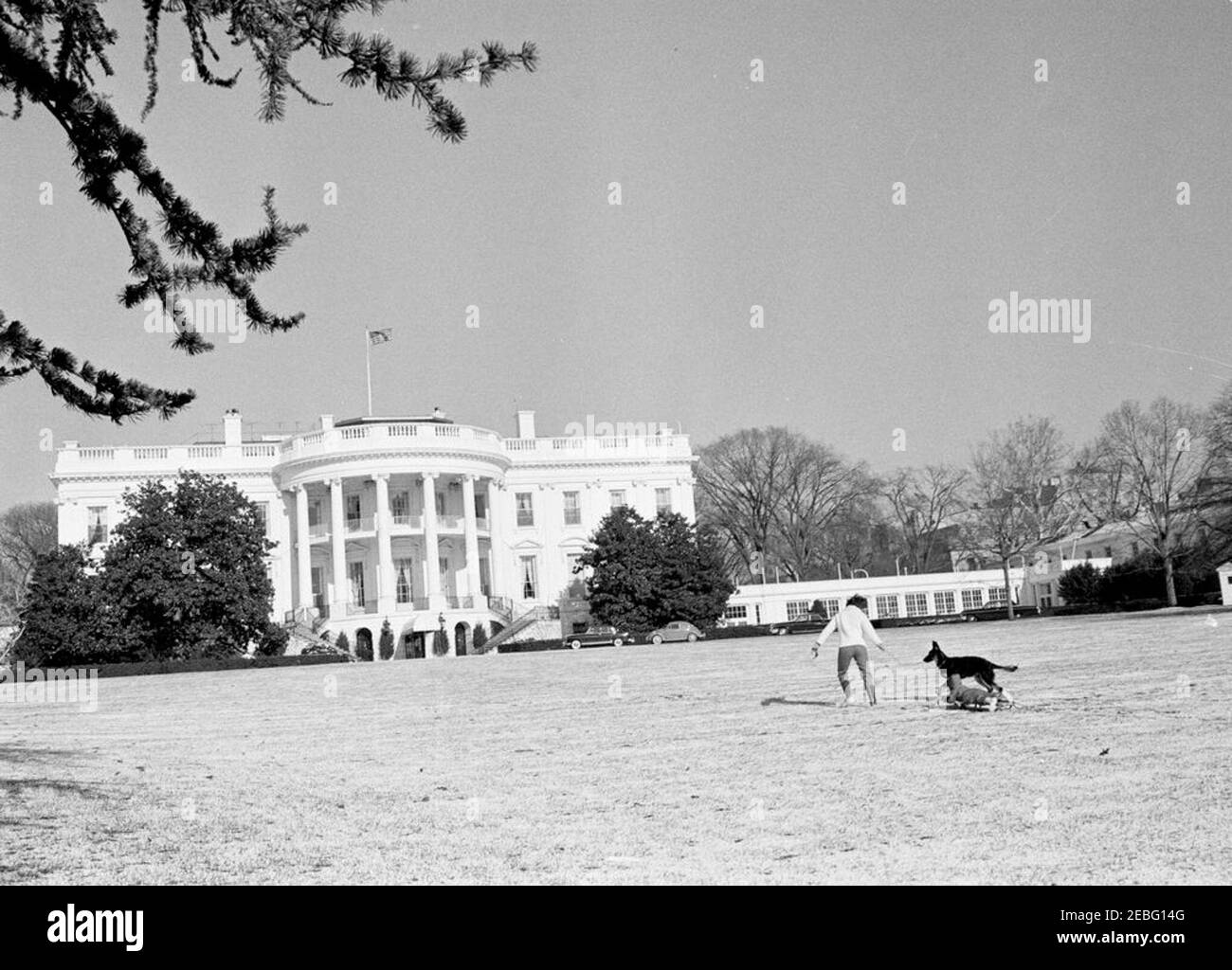 First Lady Jacqueline Kennedy (JBK) u0026 John F. Kennedy, Jr. (JFK, Jr.), sledding su South Lawn. First Lady Jacqueline Kennedy tira John F. Kennedy, Jr., su una slitta attraverso la neve sul prato sud della Casa Bianca, Washington, D.C. il cane della famiglia Kennedy, Clipper, corre accanto. Foto Stock